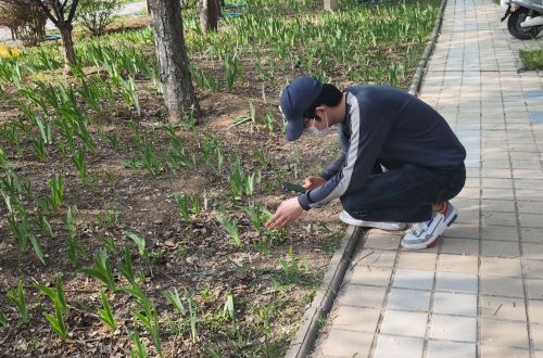 参与者在对植物进行信息采集.jpg